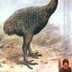 Large_Emus avatar